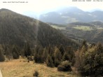 Archiv Foto Webcam Gasthof Waldeggerhaus 13:00