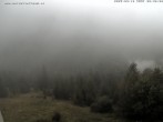Archiv Foto Webcam Gasthof Waldeggerhaus 05:00