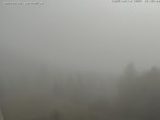 Archiv Foto Webcam Gasthof Waldeggerhaus 09:00