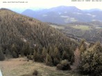 Archiv Foto Webcam Gasthof Waldeggerhaus 05:00