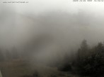 Archiv Foto Webcam Gasthof Waldeggerhaus 09:00