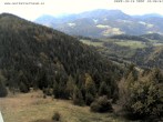 Archiv Foto Webcam Gasthof Waldeggerhaus 11:00