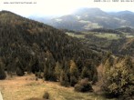 Archiv Foto Webcam Gasthof Waldeggerhaus 07:00