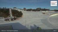 Archiv Foto Webcam Feuerkogel/Ebensee 08:00