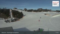 Archiv Foto Webcam Feuerkogel/Ebensee 10:00