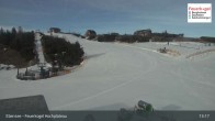 Archiv Foto Webcam Feuerkogel/Ebensee 12:00