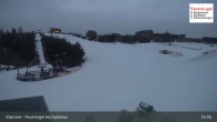 Archiv Foto Webcam Feuerkogel/Ebensee 00:00