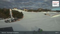 Archiv Foto Webcam Feuerkogel/Ebensee 08:00