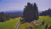 Archiv Foto Webcam Bergstation Sternsteinlifte im Mühlviertel 11:00