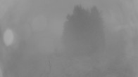 Archiv Foto Webcam Bergstation Sternsteinlifte im Mühlviertel 05:00