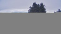Archiv Foto Webcam Bergstation Sternsteinlifte im Mühlviertel 11:00