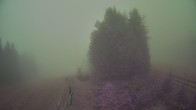 Archiv Foto Webcam Bergstation Sternsteinlifte im Mühlviertel 13:00