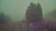 Archived image Webcam Sternsteinlifte, Mühlviertel 11:00
