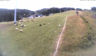 Archived image Webcam Hauser Kaibling: Mid station Tauern Seilbahn 11:00