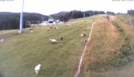 Archiv Foto Webcam Hauser Kaibling: Tauern Seilbahn Mittelstation (1381 m) 05:00