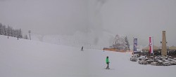 Archiv Foto Webcam Streuböden Fieberbrunn 11:00