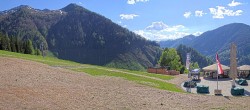 Archiv Foto Webcam Streuböden Fieberbrunn 15:00