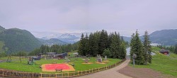 Archiv Foto Webcam Streuböden Fieberbrunn 14:00