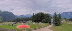 Archiv Foto Webcam Streuböden Fieberbrunn 11:00