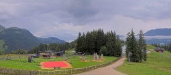 Archiv Foto Webcam Streuböden Fieberbrunn 05:00
