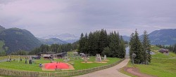 Archiv Foto Webcam Streuböden Fieberbrunn 11:00
