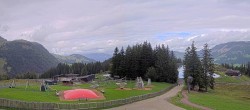 Archiv Foto Webcam Streuböden Fieberbrunn 11:00
