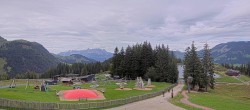 Archiv Foto Webcam Streuböden Fieberbrunn 13:00