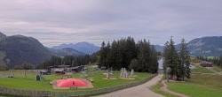 Archiv Foto Webcam Streuböden Fieberbrunn 15:00