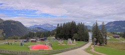 Archiv Foto Webcam Streuböden Fieberbrunn 11:00