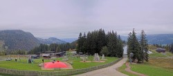 Archiv Foto Webcam Streuböden Fieberbrunn 11:00