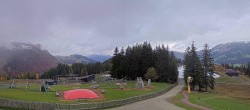 Archiv Foto Webcam Streuböden Fieberbrunn 11:00