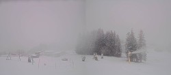 Archiv Foto Webcam Streuböden Fieberbrunn 08:00
