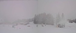 Archiv Foto Webcam Streuböden Fieberbrunn 10:00