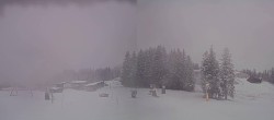 Archiv Foto Webcam Streuböden Fieberbrunn 12:00