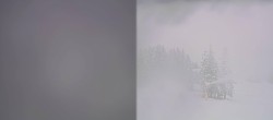 Archiv Foto Webcam Streuböden Fieberbrunn 07:00