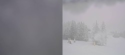 Archiv Foto Webcam Streuböden Fieberbrunn 12:00