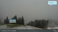 Archived image Webcam Reiteralm (1.860 m) 08:00
