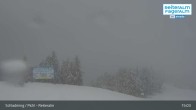 Archiv Foto Webcam Reiteralm (1.860 m) 14:00