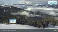 Archived image Webcam Reiteralm (1.860 m) 08:00