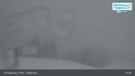 Archived image Webcam Reiteralm (1.860 m) 12:00