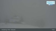 Archived image Webcam Reiteralm (1.860 m) 14:00