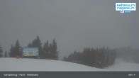 Archived image Webcam Reiteralm (1.860 m) 08:00