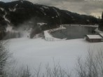 Archiv Foto Webcam Grüblsee 11:00