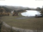 Archiv Foto Webcam Grüblsee 11:00