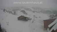 Archived image Webcam alp Planneralm, Styria 13:00