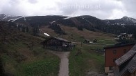 Archived image Webcam alp Planneralm, Styria 13:00