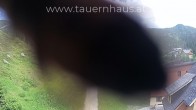 Archiv Foto Webcam Planneralm, Steiermark 15:00