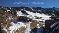 Archived image Webcam alp Planneralm, Styria 11:00