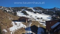 Archived image Webcam alp Planneralm, Styria 13:00