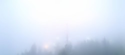 Archived image Webcam Lake Altaussee 01:00